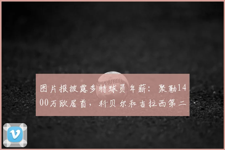 图片报披露多特球员年薪：聚勒1400万欧居首，科贝尔和吉拉西第二